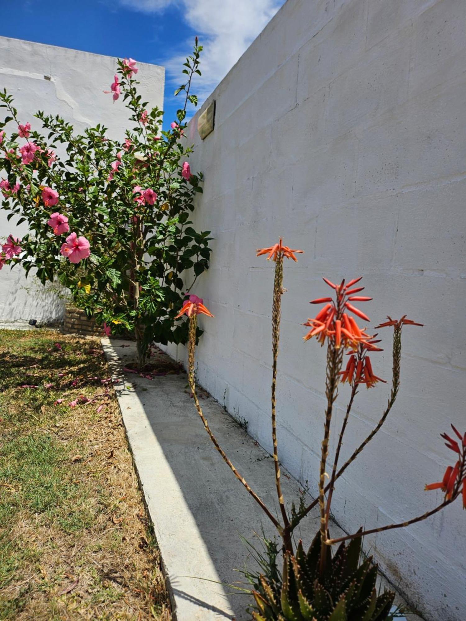 Villa Nonina Chiclana de la Frontera Exteriör bild